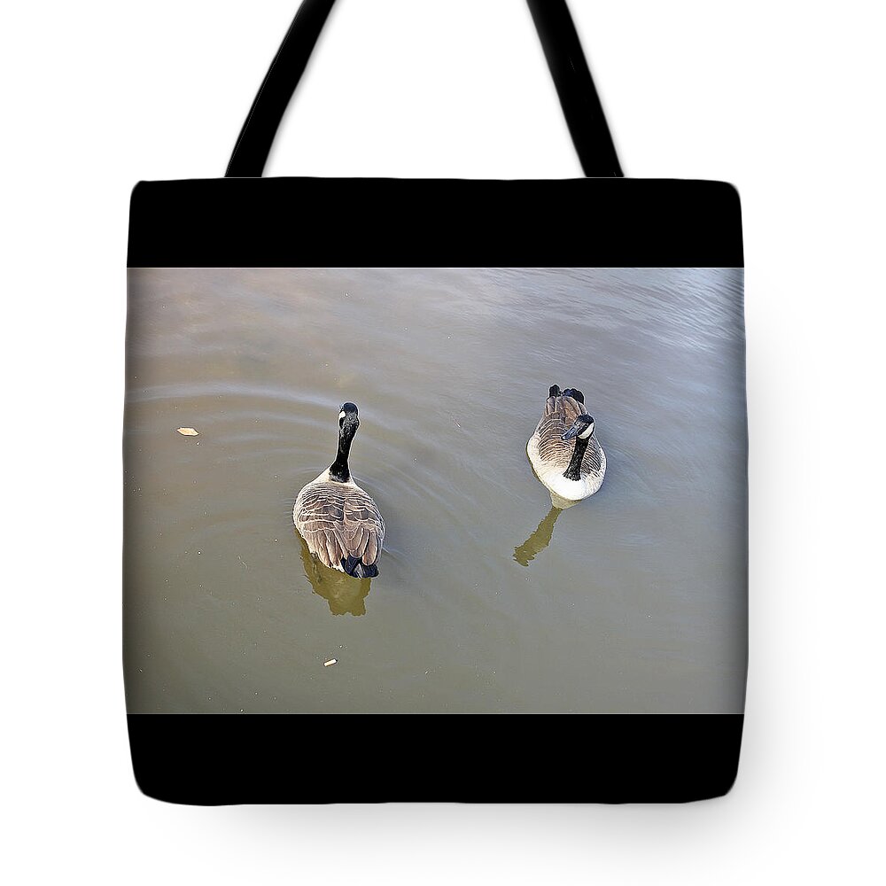 Courtship Tote Bag featuring the photograph The Courtship by Ellen Tully