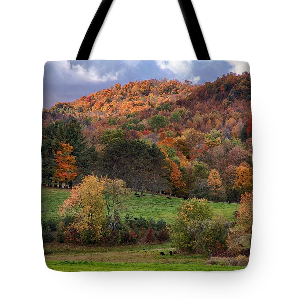 Pomfret Vermont Tote Bag featuring the photograph The cows are in the dell by Jeff Folger
