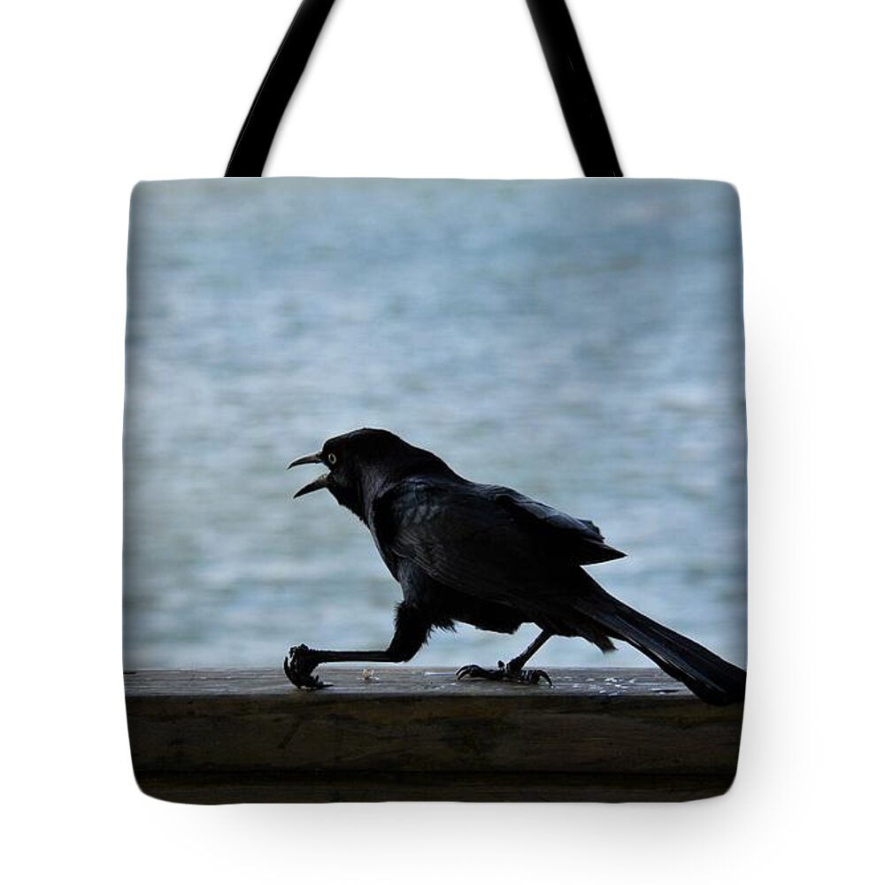 Grackle.birds Tote Bag featuring the photograph The Creeping Thief by Jan Gelders