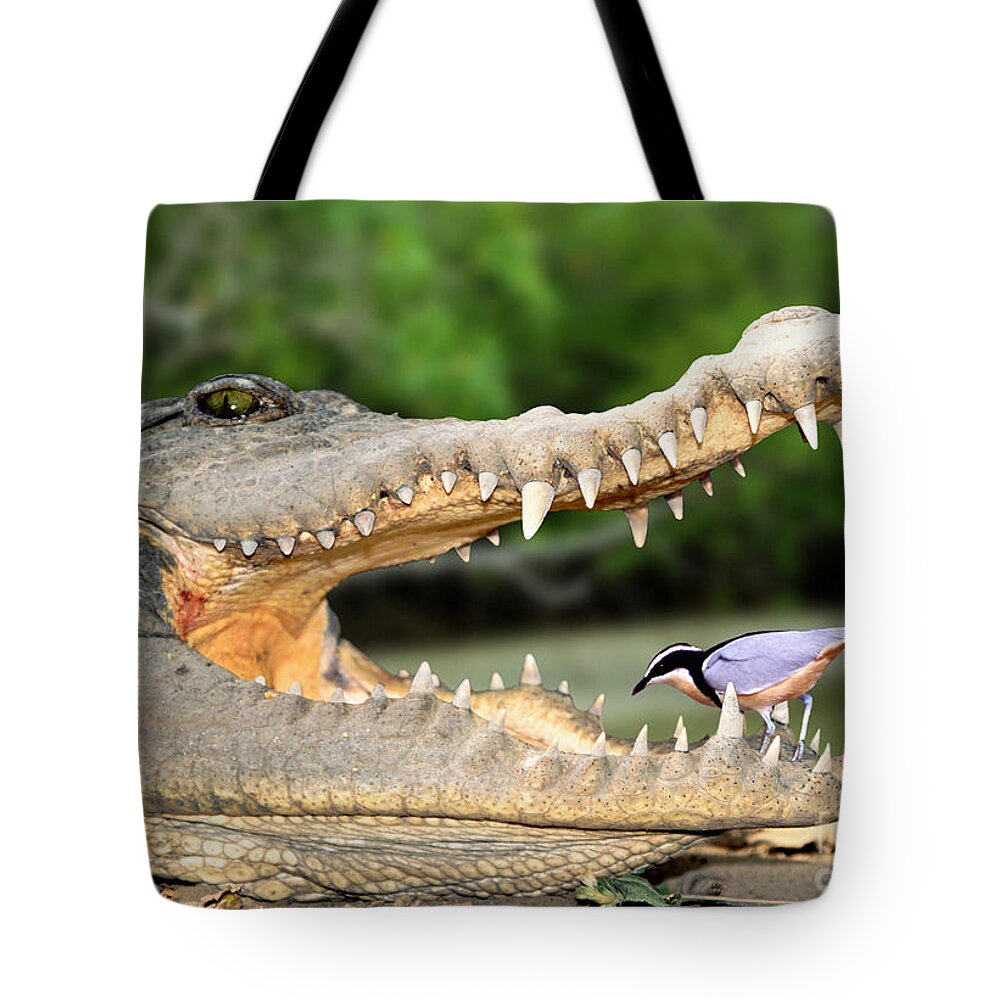 Nile Crocodile Tote Bag featuring the photograph The Crocodile Bird by Warren Photographic