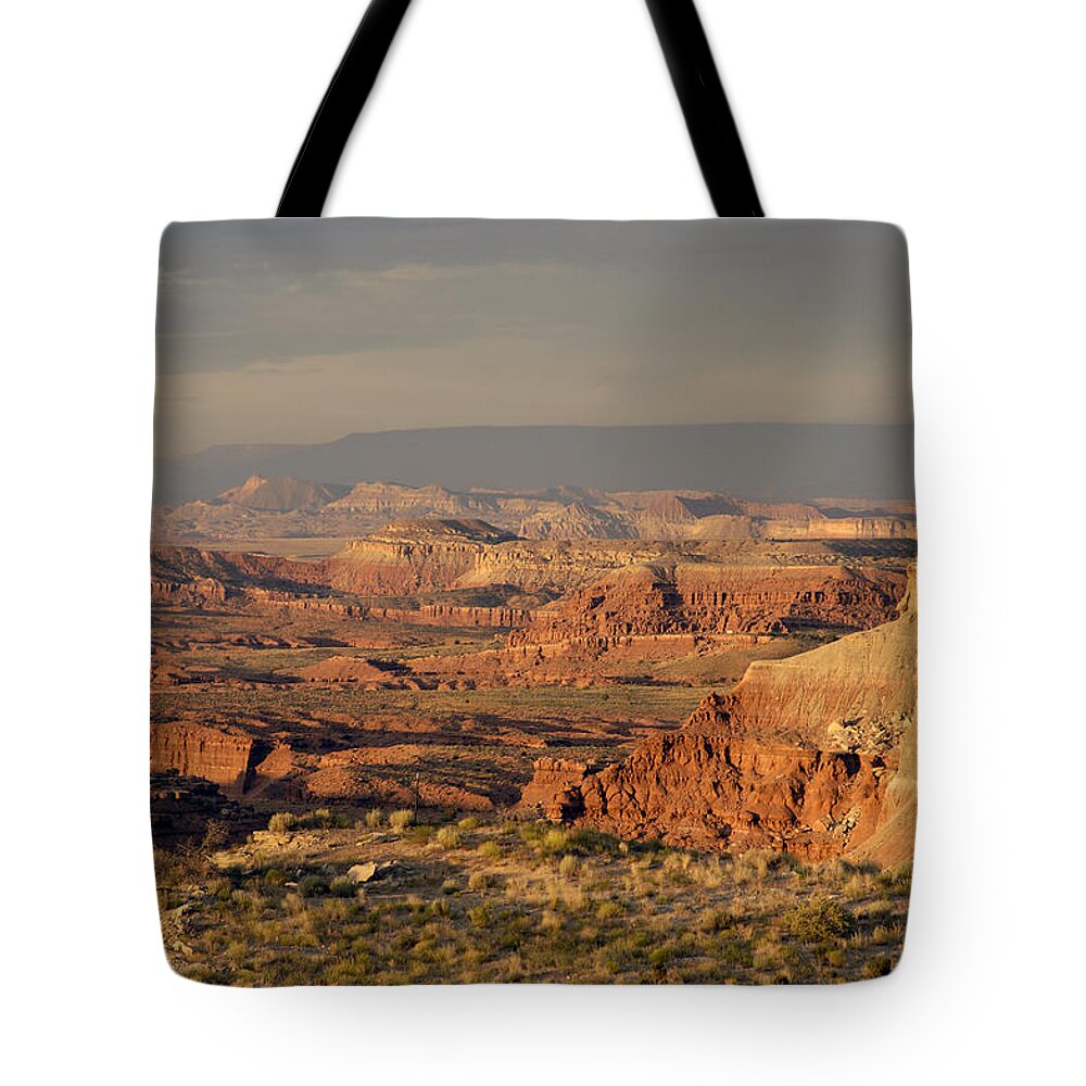Dead Zone Tote Bag featuring the photograph The Dead Zone - Utah by DArcy Evans