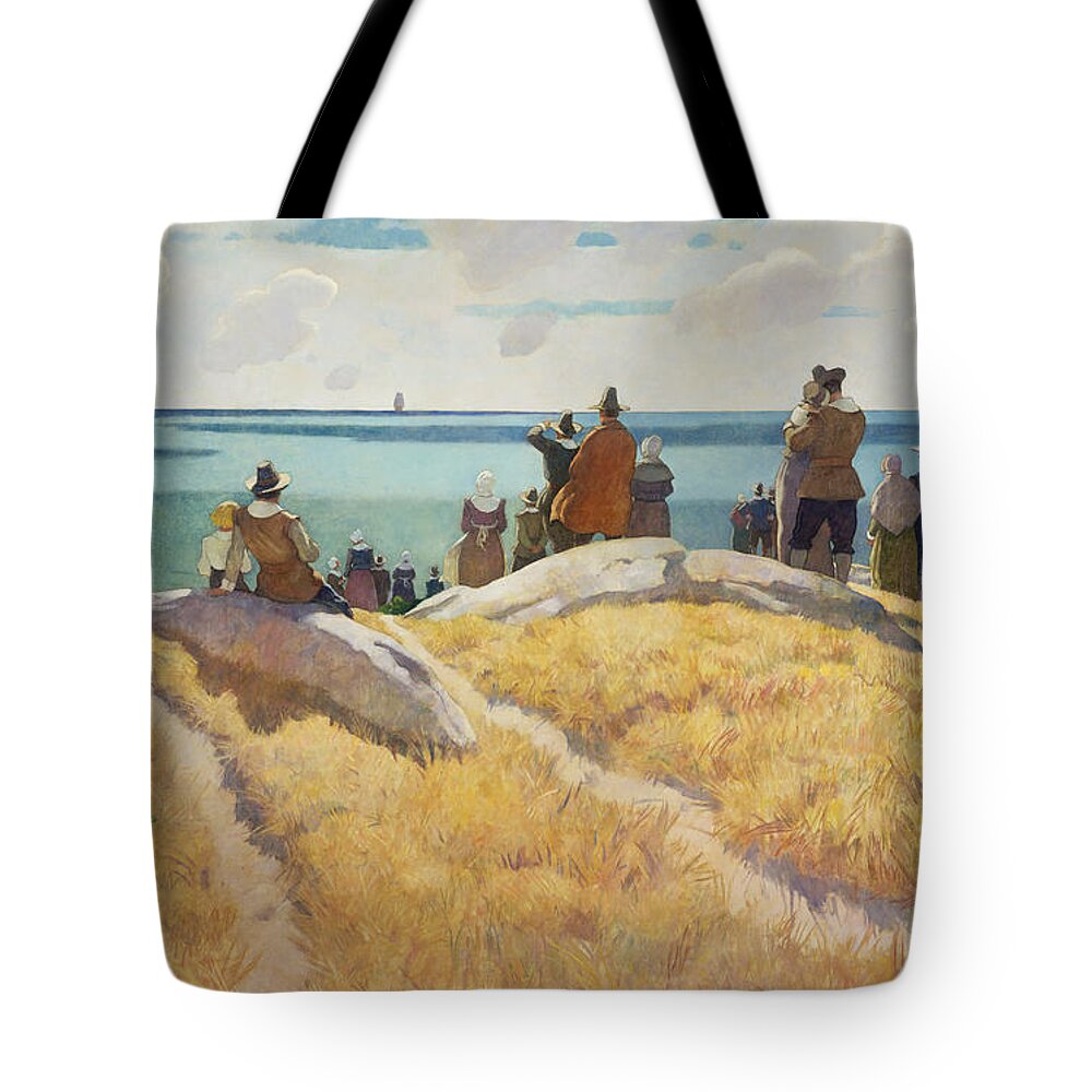 Plymouth Beach Tote Bags