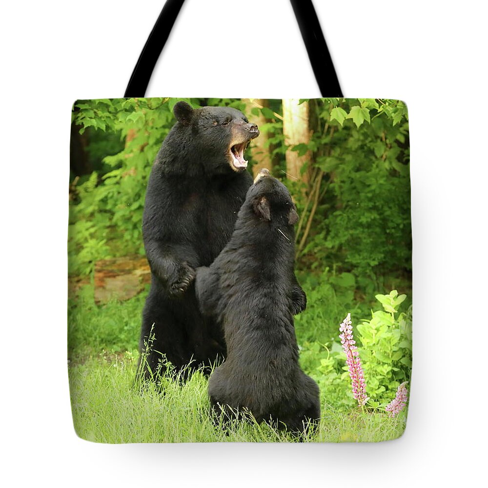 Bears Tote Bag featuring the photograph The Disagreement by Duane Cross