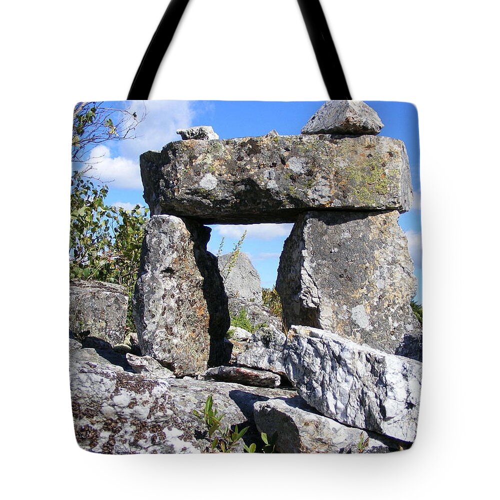 Landscape Tote Bag featuring the photograph The Door by Doug Mills