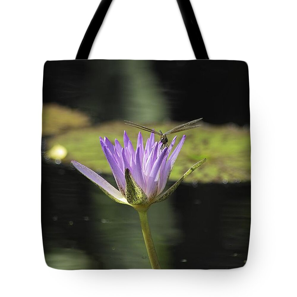 Fairchildtropicalgardens Tote Bag featuring the photograph The Dragonfly and the Lily by Gary Dean Mercer Clark