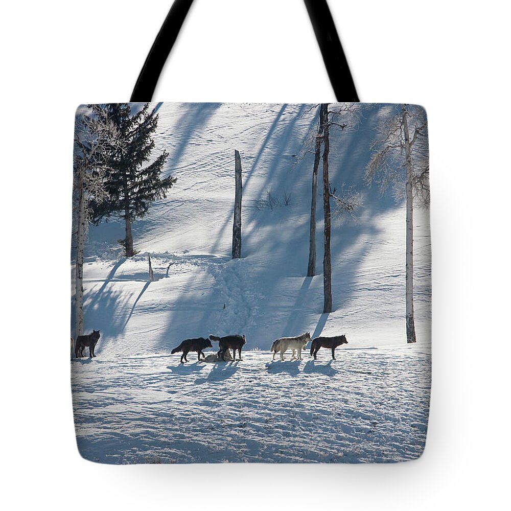 Mark Miller Photos Tote Bag featuring the photograph The Druids by Mark Miller