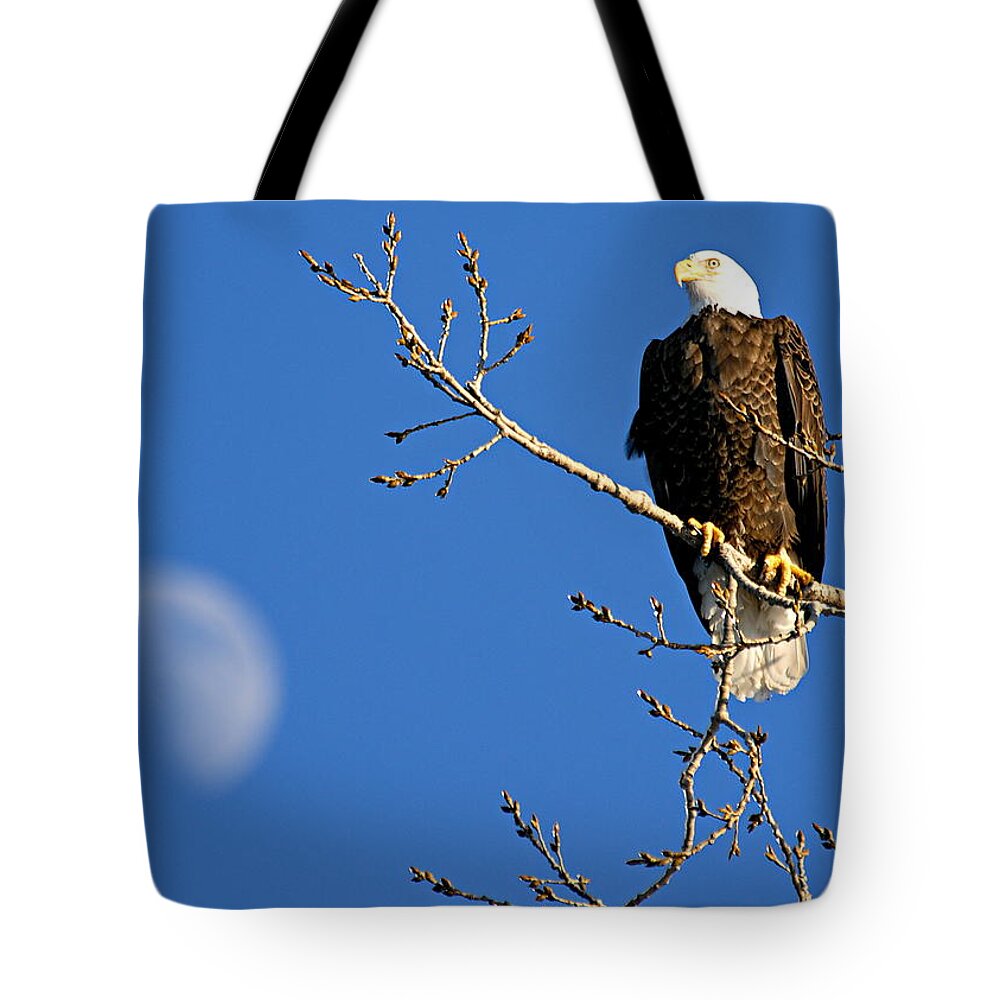 American Bald Eagle Tote Bag featuring the photograph The Eagle Has Landed by Larry Ricker
