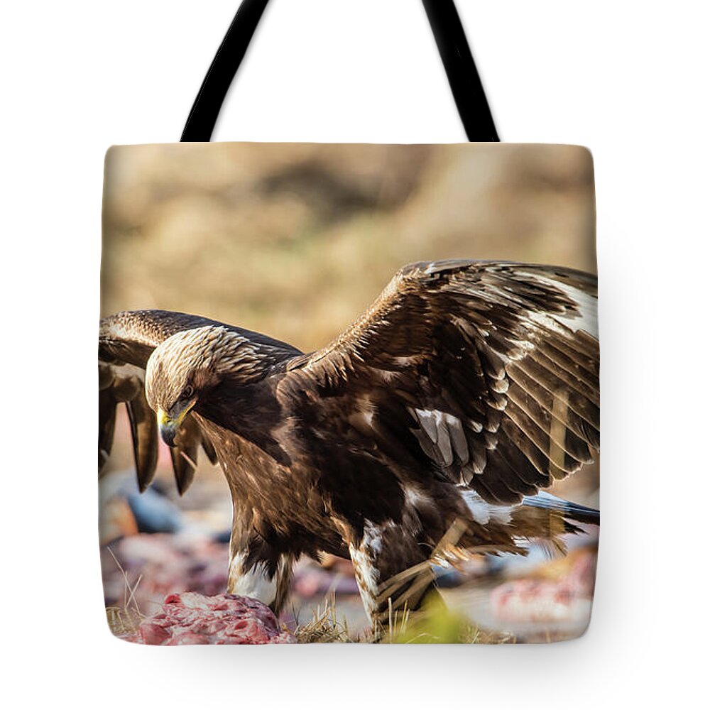 Golden Eagle Tote Bag featuring the photograph The Eagle have come down by Torbjorn Swenelius