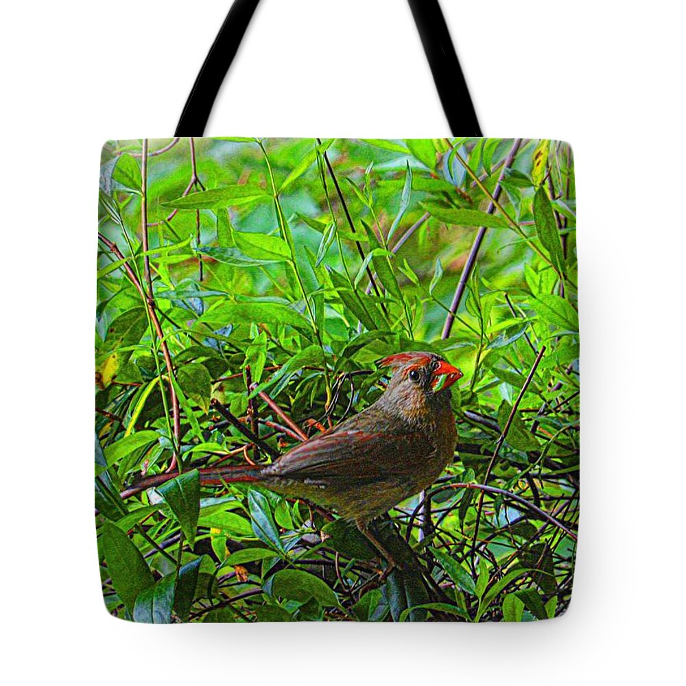 Bird Tote Bag featuring the photograph The Early Bird by Joe Duket