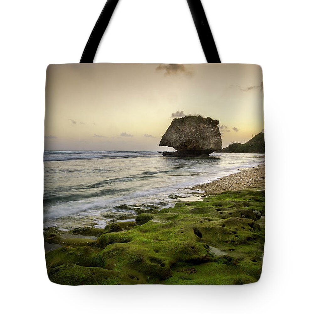  Tote Bag featuring the photograph The East Coast by Hugh Walker