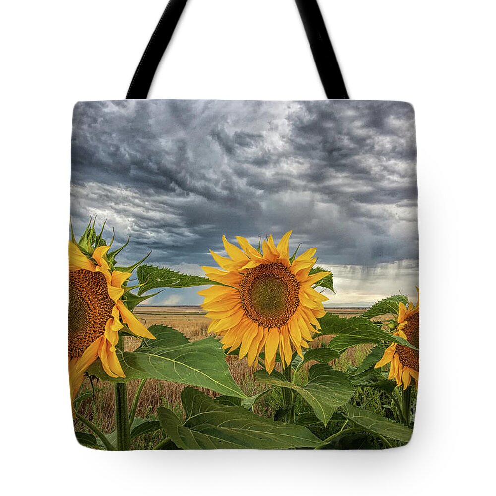 Sunflowers Landscape Tote Bag featuring the photograph The Edge of the Storm by Jim Garrison