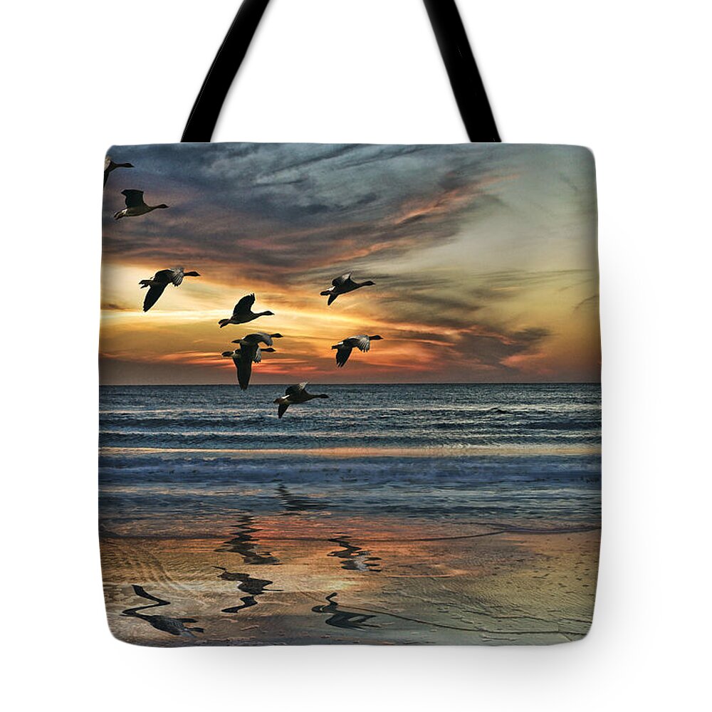 Beach Tote Bag featuring the photograph The End Of The Day by Brian Tarr