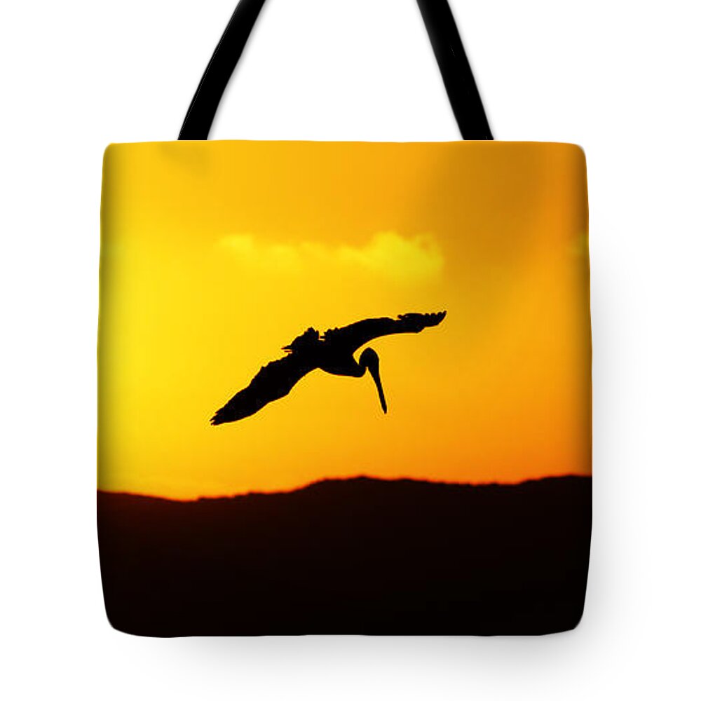 Animals Tote Bag featuring the photograph The End of the Day -- Brown Pelican at Sunset in Morro Bay State Park, California by Darin Volpe