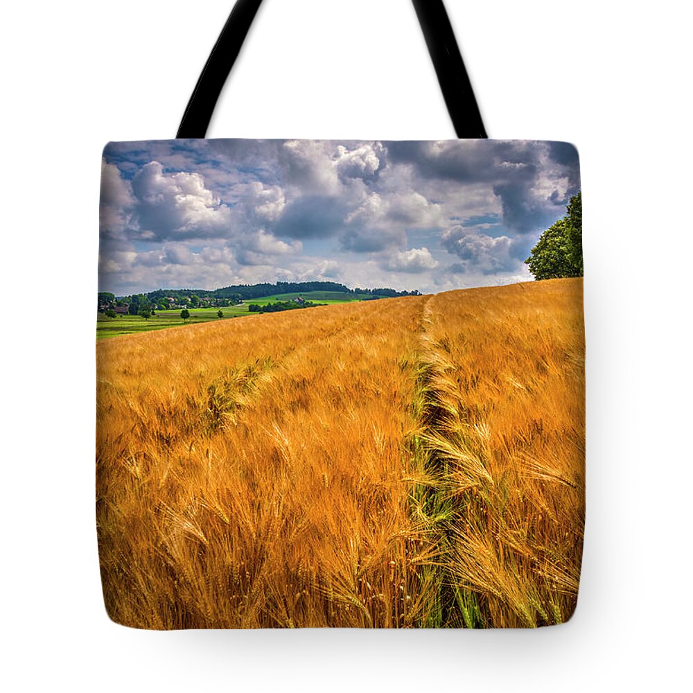 Barns Tote Bag featuring the photograph The Evening is Golden by Debra and Dave Vanderlaan