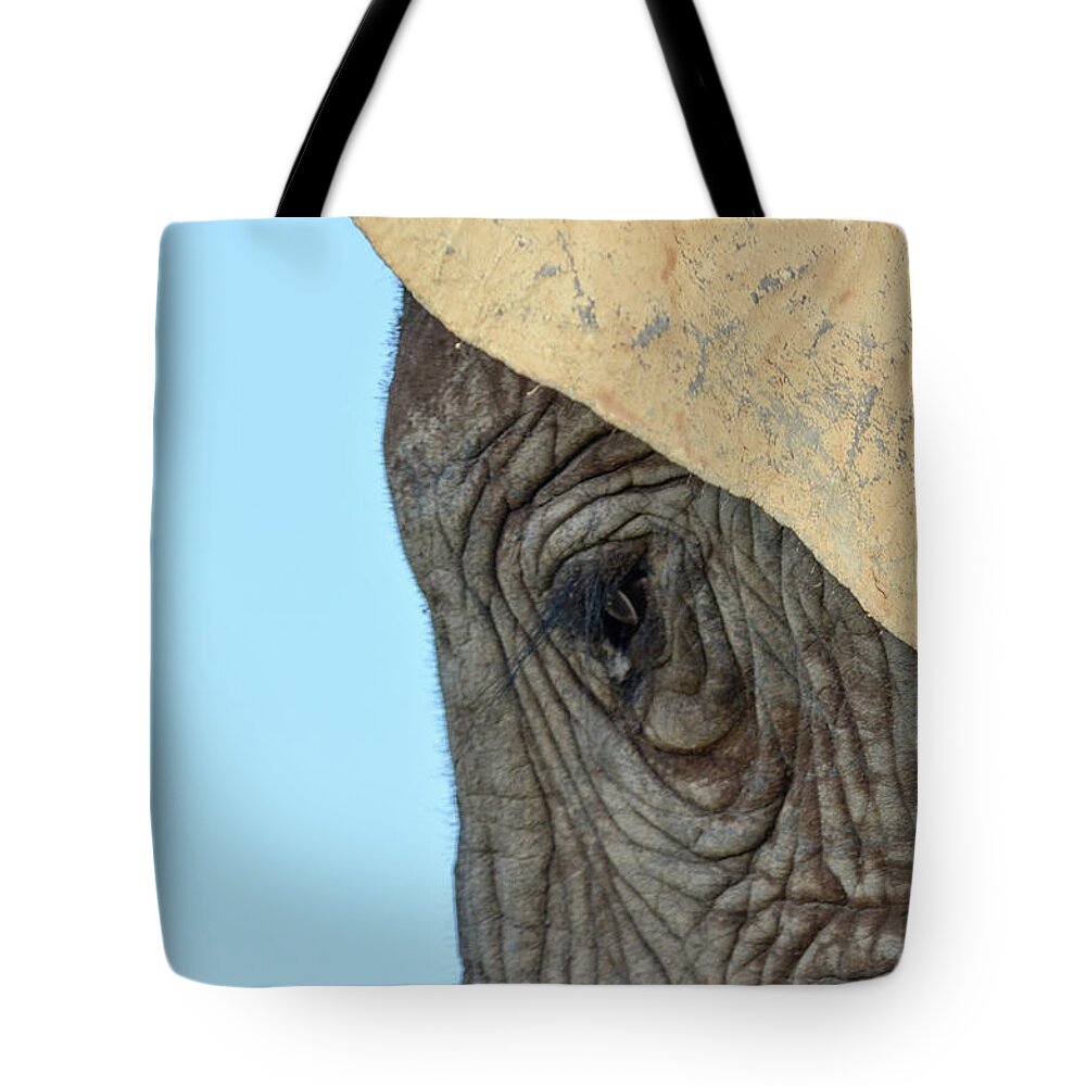 South African Elephant Tote Bag featuring the photograph The eye of an elephant by Gaelyn Olmsted