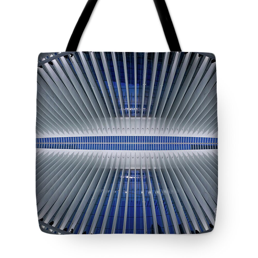 Oculus Tote Bag featuring the photograph The Eye Of Oculus by Michael Ver Sprill
