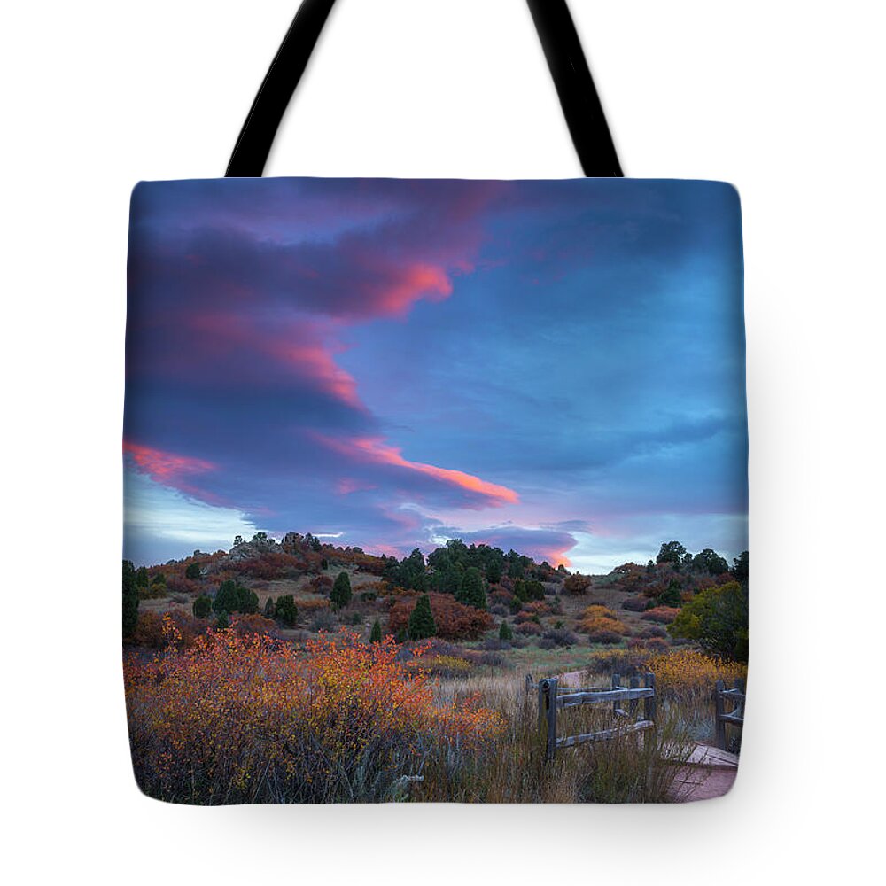 Fall Tote Bag featuring the photograph The Fall Meadow by Tim Reaves