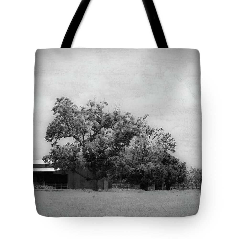 Farm Tote Bag featuring the photograph the Family Farm by Ella Kaye Dickey