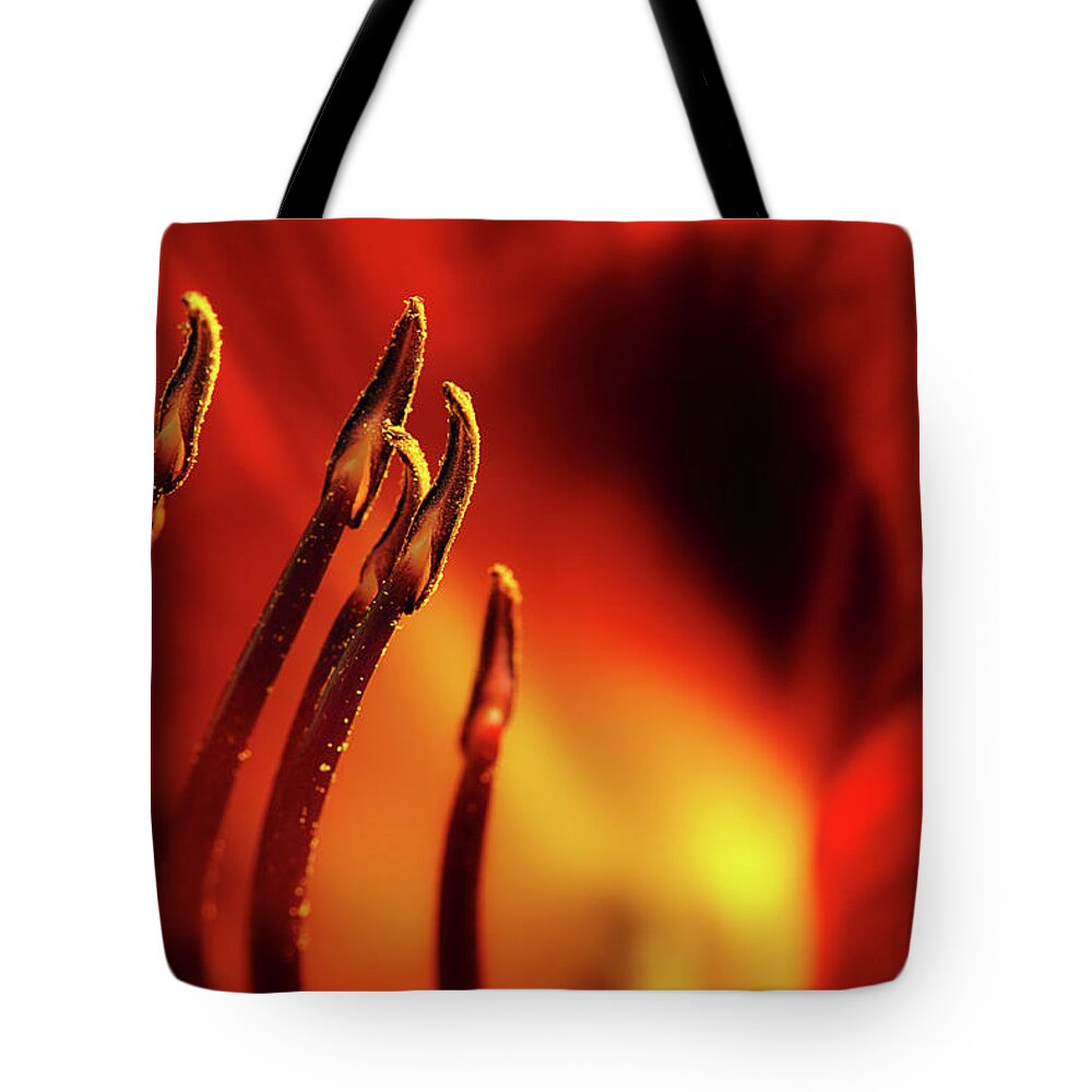 Lily Tote Bag featuring the photograph The Fire Within by Mike Eingle