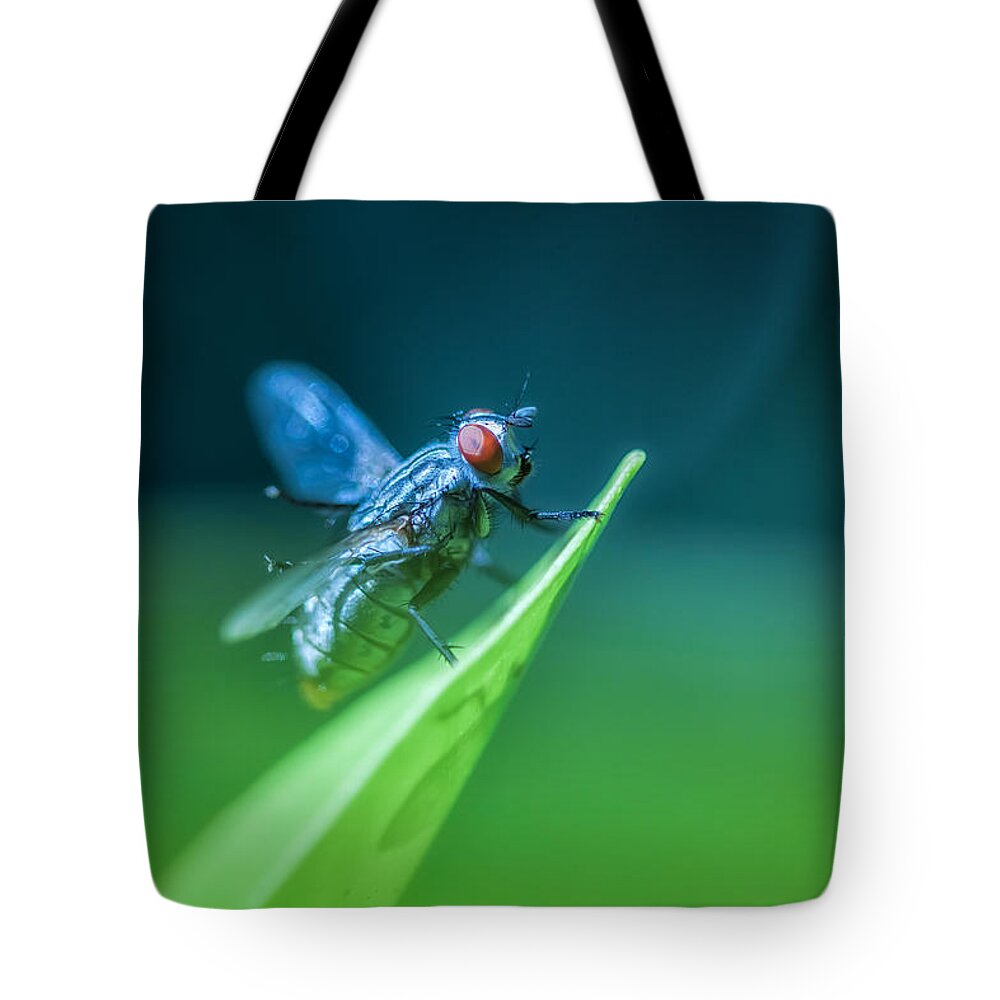 Nature Tote Bag featuring the photograph The Fly by Jonathan Nguyen