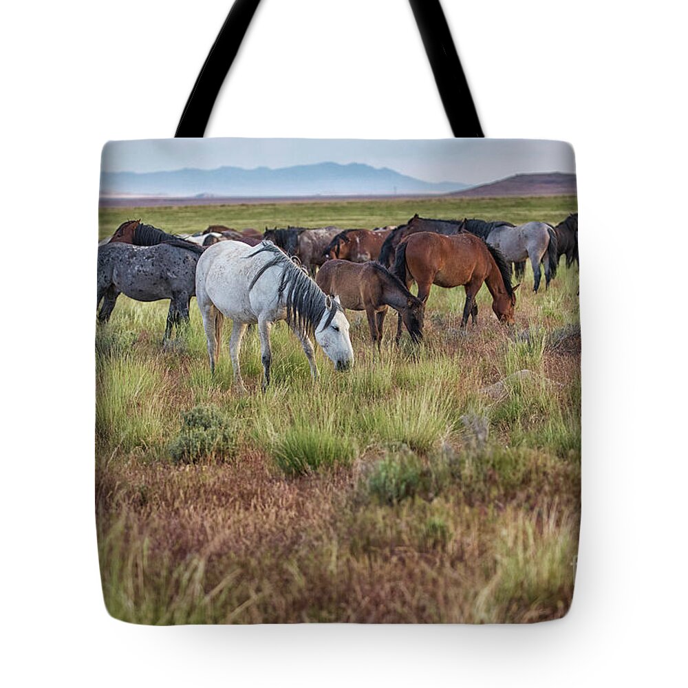 Horse Tote Bag featuring the photograph The Mustang Gang by Rob Daugherty