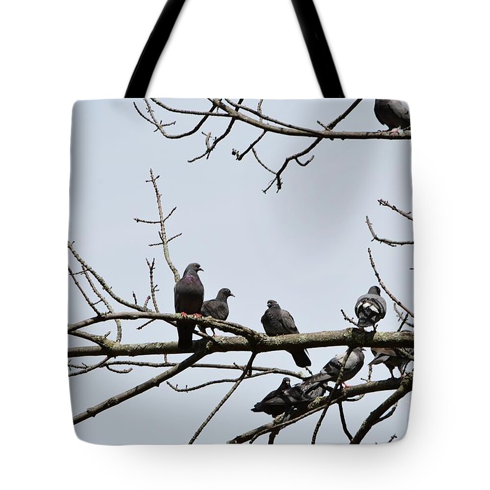 Birds Tote Bag featuring the photograph The Gathering by Dani McEvoy
