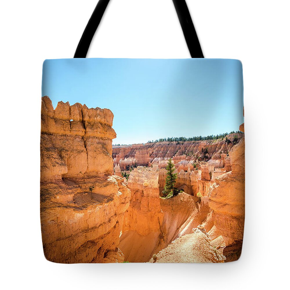 Landscape Tote Bag featuring the photograph The Glowing Canyon by Margaret Pitcher