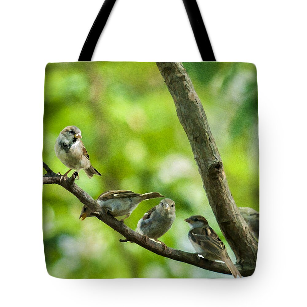 Birds Tote Bag featuring the photograph The Gossip Branch by Cathy Kovarik