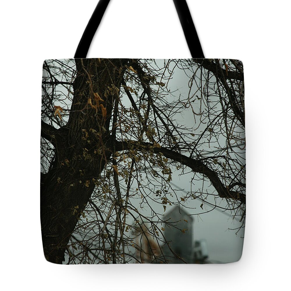 Tree Tote Bag featuring the photograph The Granary by Linda Shafer