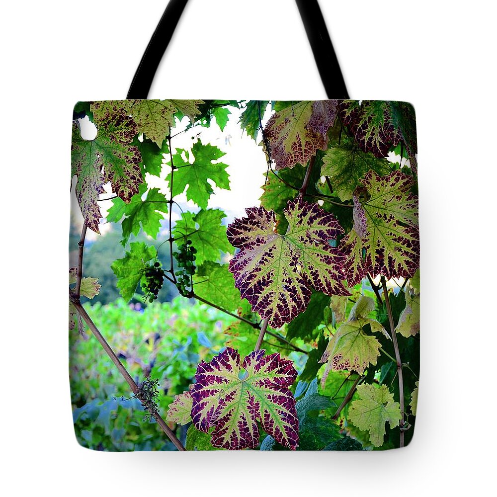 Grapes Tote Bag featuring the photograph The Grape Vine by Corinne Rhode