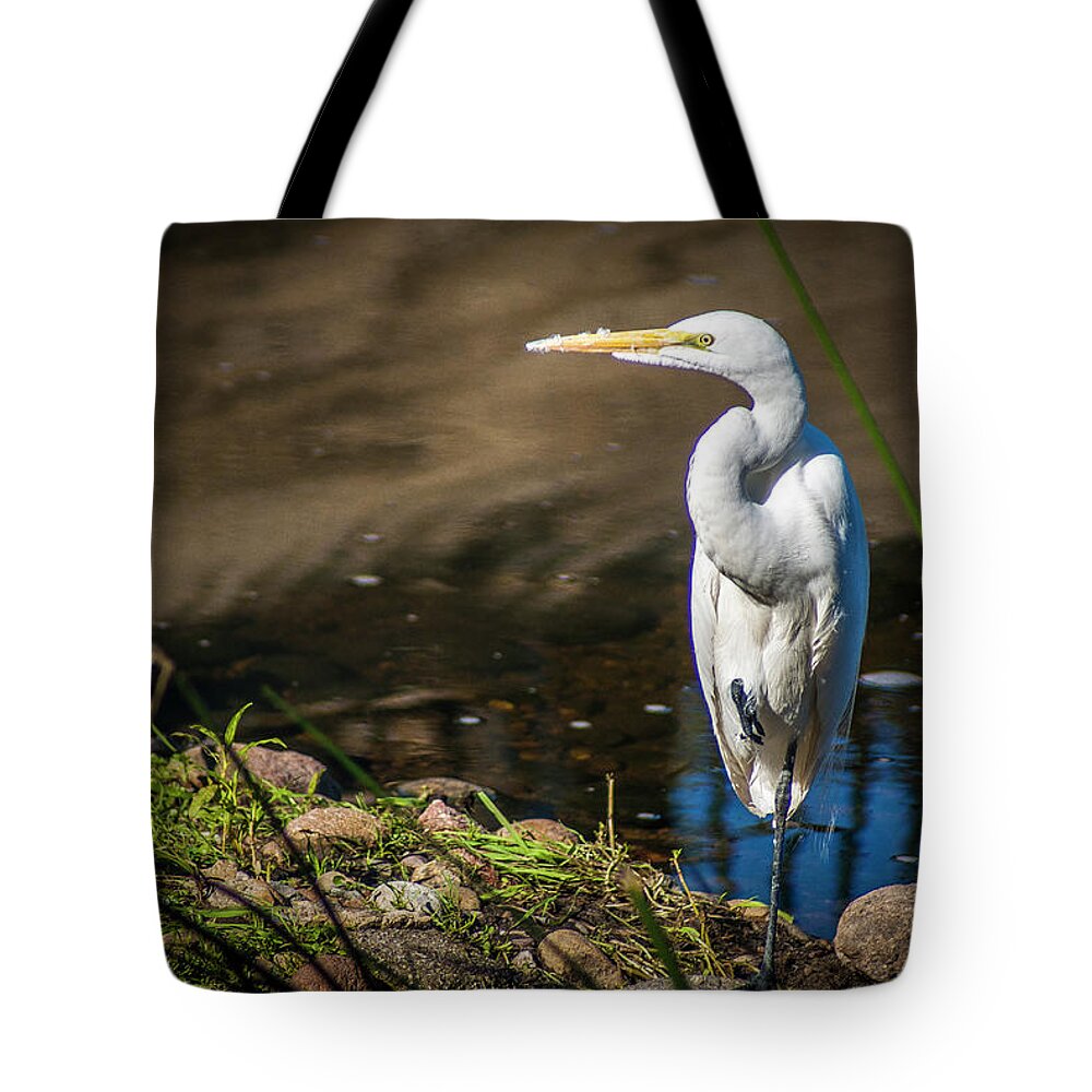 California Egrets Tote Bag featuring the photograph The Great Egret by Donald Pash