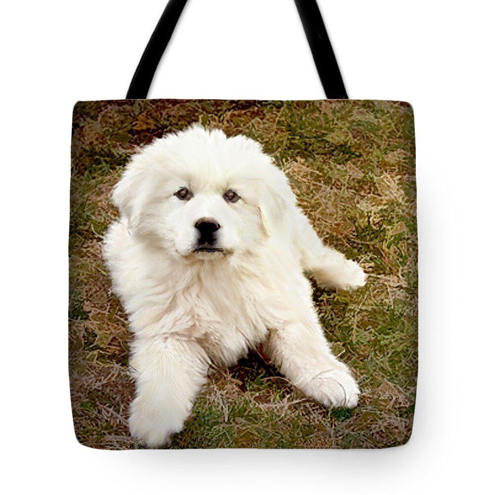 Dog Tote Bag featuring the photograph The Great Pyranise Puppy by Bonnie Willis
