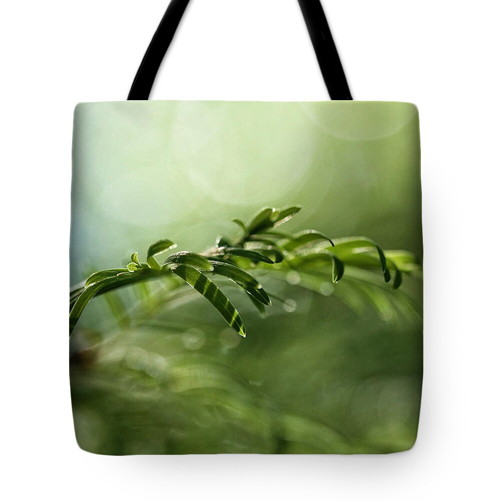 Connie Handscomb Tote Bag featuring the photograph The Green Trampoline by Connie Handscomb