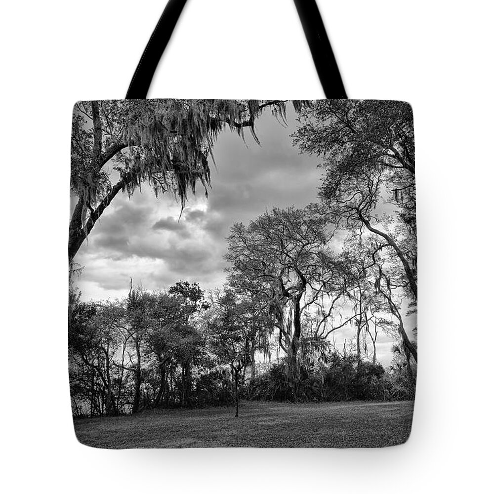 Fort Caroline National Memorial Tote Bag featuring the photograph The Grounds of Fort Caroline National Memorial by John M Bailey
