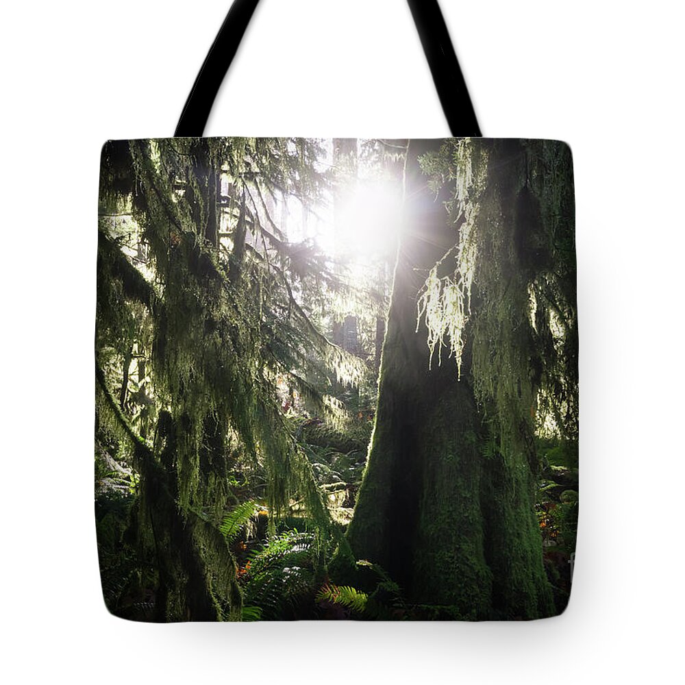 Alberni Valley Tote Bag featuring the photograph The Grove by Carrie Cole