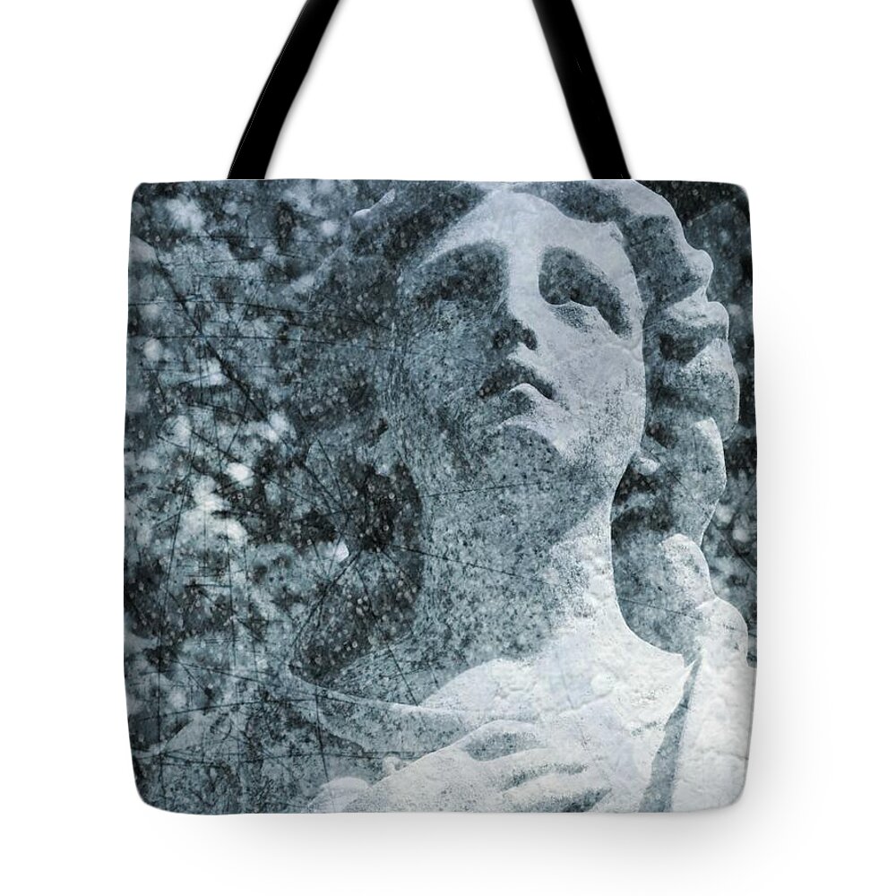 Guardian Tote Bag featuring the photograph The Guardian by Robert ONeil