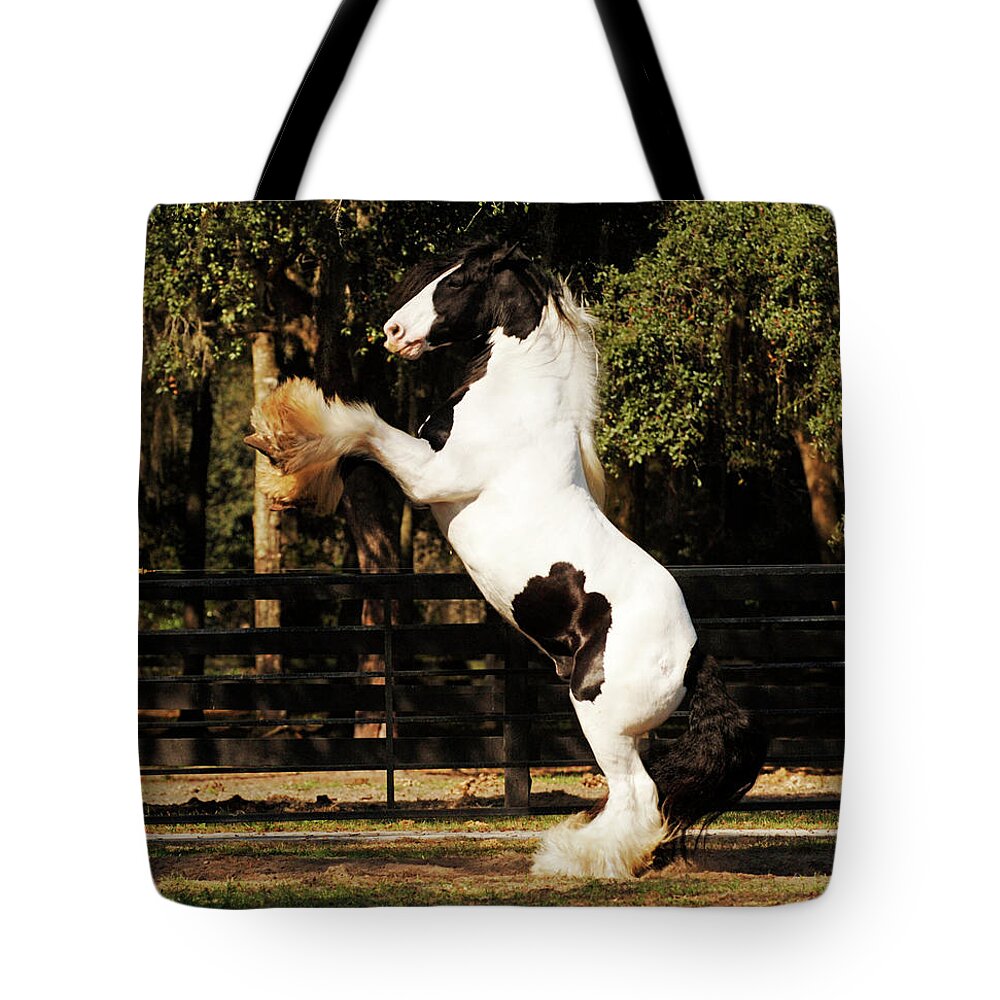 Gypsy Gold Gypsy Vanners Tote Bag featuring the photograph The Gypsy King by Carien Schippers