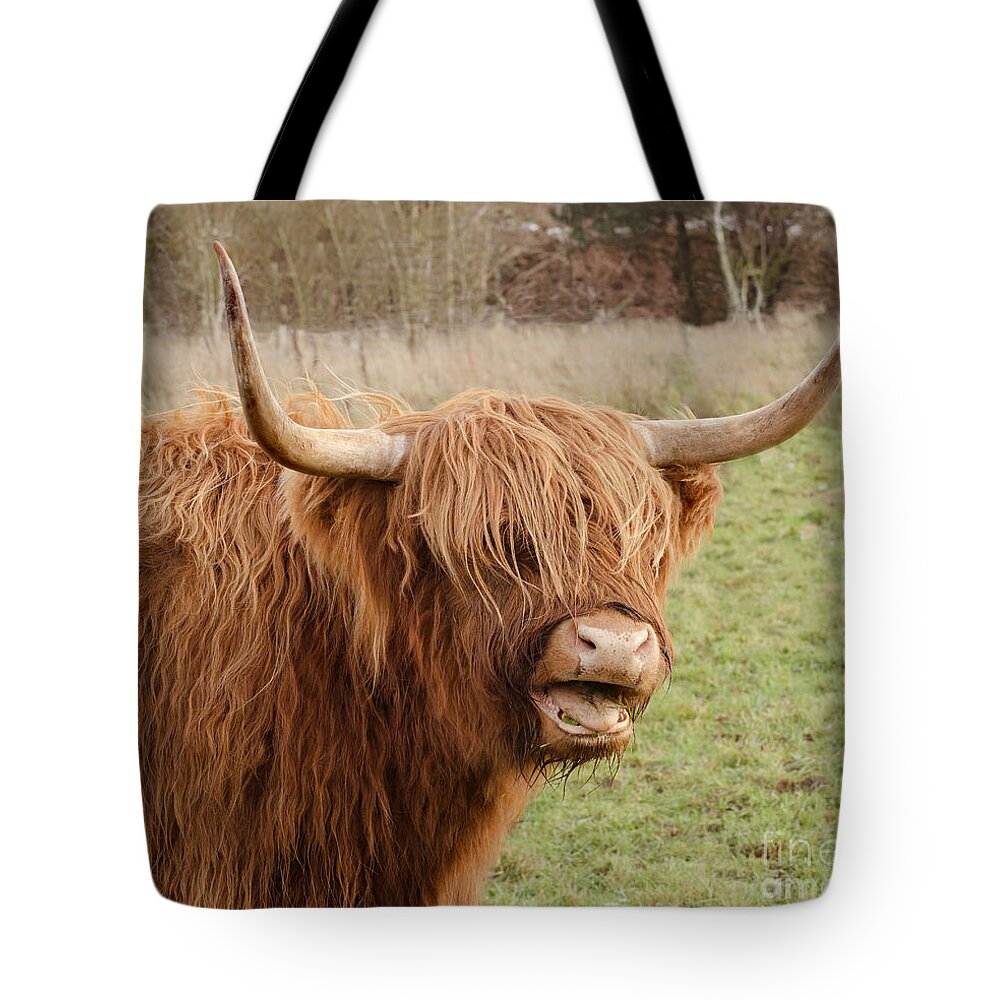 Highland Cow Tote Bag featuring the photograph The Happy Highlander by Linsey Williams