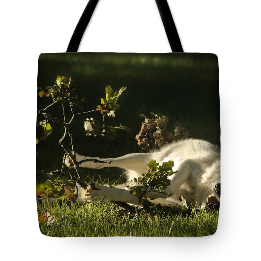 Wolf Tote Bag featuring the photograph The Happy Wolf by Ang El