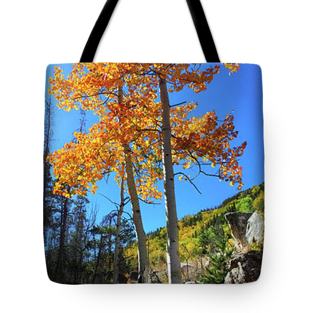Aspen Tote Bag featuring the photograph The Hillside - Panorama by Shane Bechler