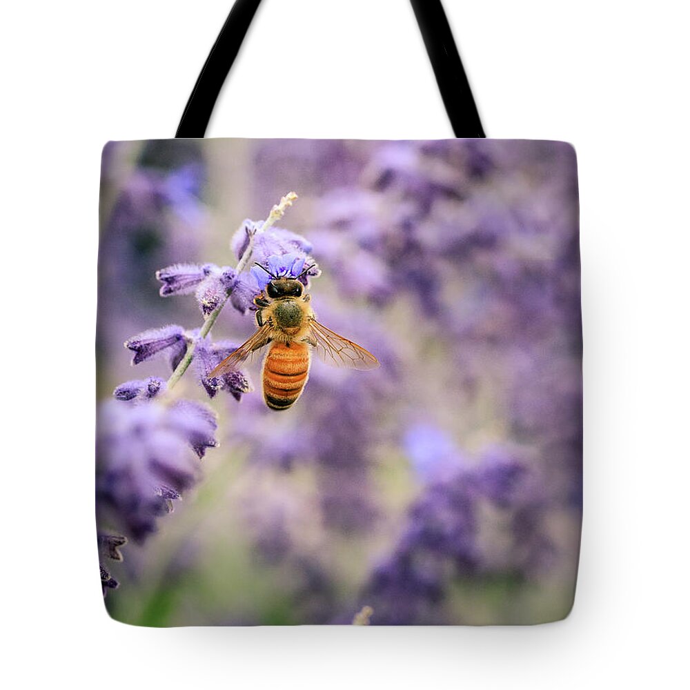 College Church Tote Bag featuring the photograph The Honey Bee and the Sage by Joni Eskridge