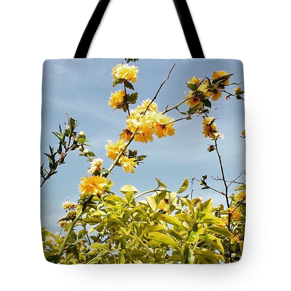 Honeysuckle Tote Bag featuring the photograph The Honeysuckle I Planted A Few Years by Abbie Shores