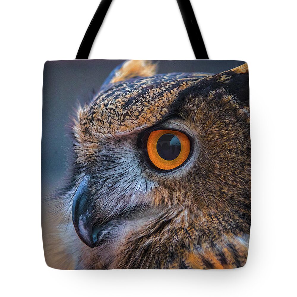 Eurasian Eagle Owl Tote Bag featuring the photograph The Hooter by Mitch Shindelbower