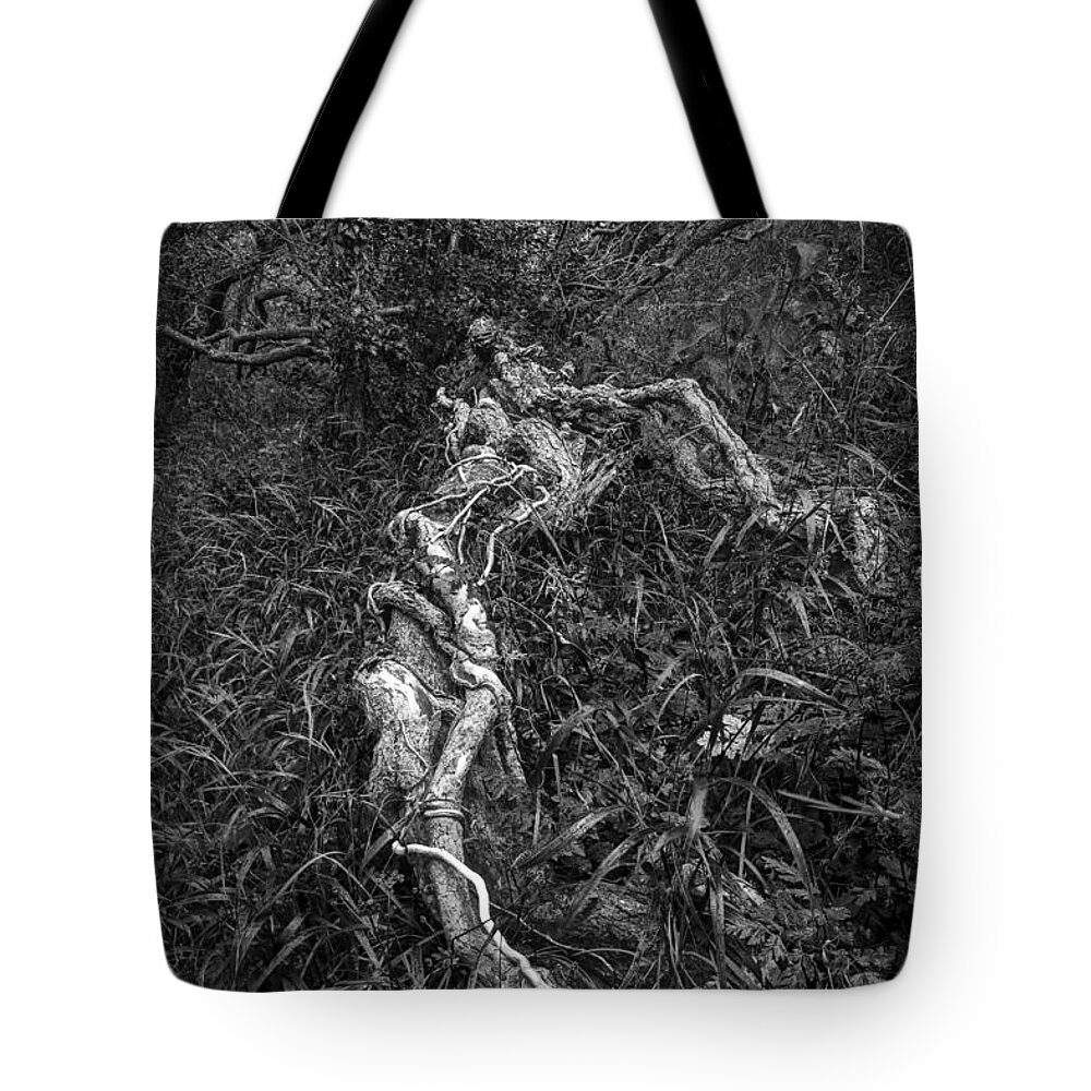 Woodland Tote Bag featuring the photograph The hose. by Elmer Jensen