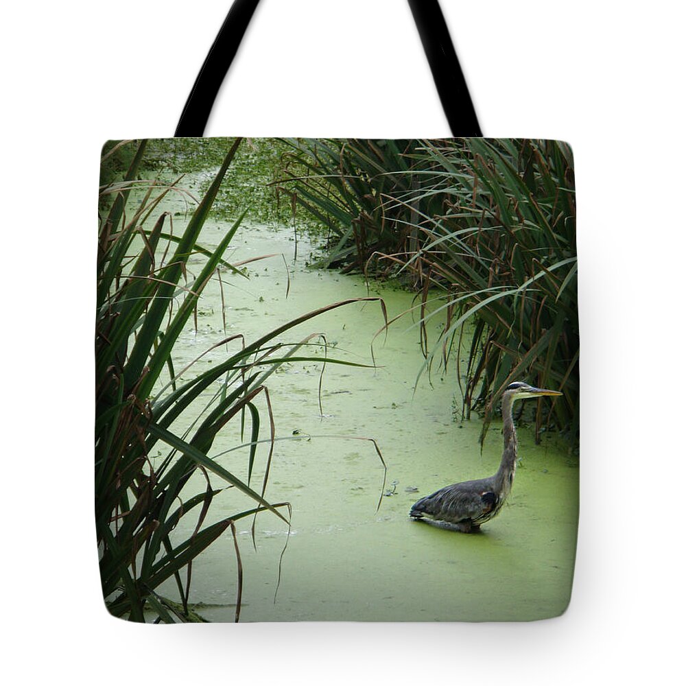 Blue Heron Tote Bag featuring the photograph The Hunter by Donna Blackhall