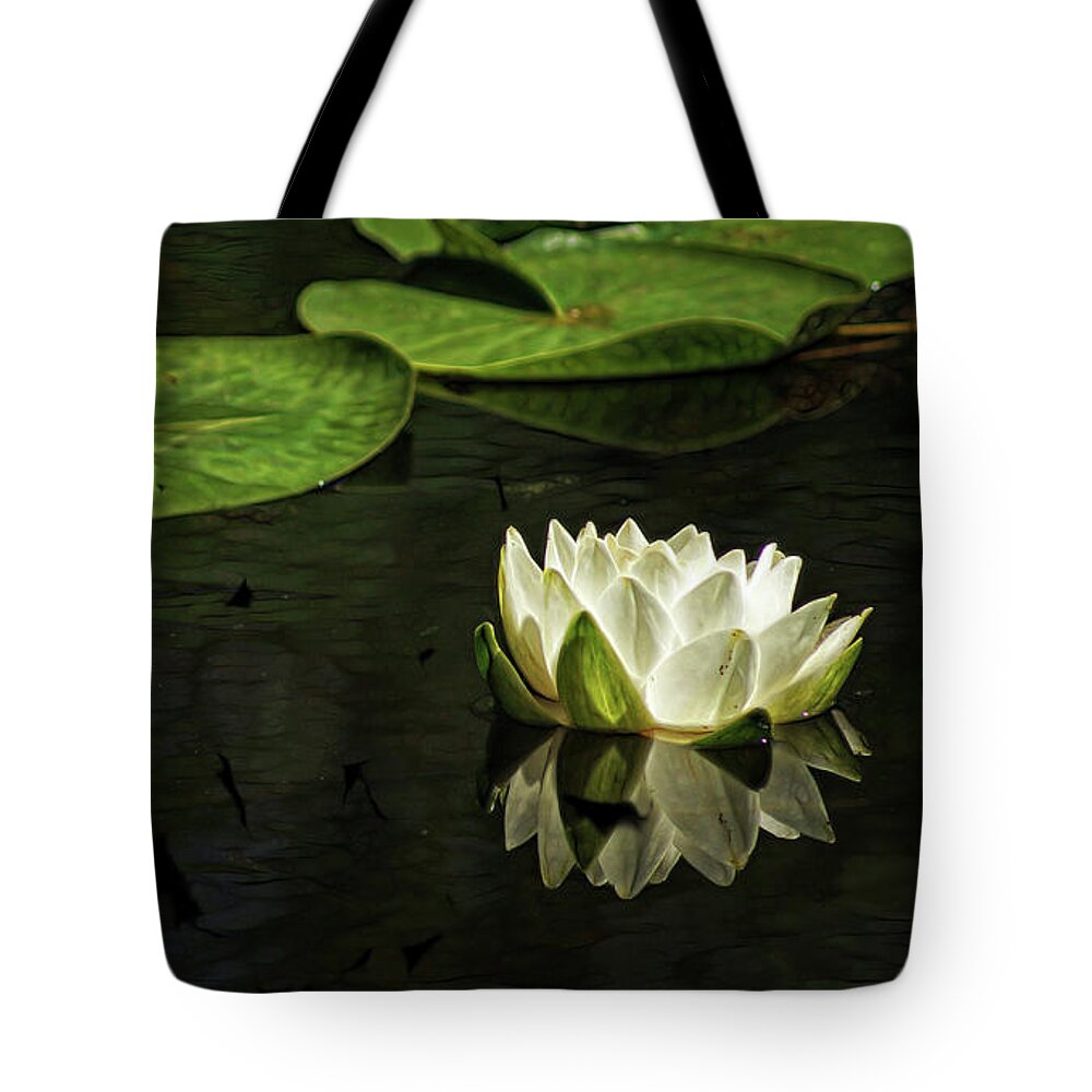 Lotus Tote Bag featuring the photograph The Illuminated Lotus by Cameron Wood
