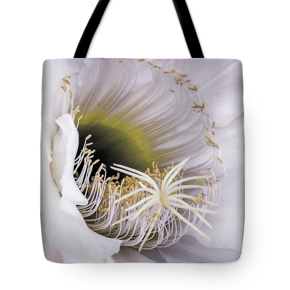 Argentine Giant Tote Bag featuring the photograph The Inner Beauty by Saija Lehtonen