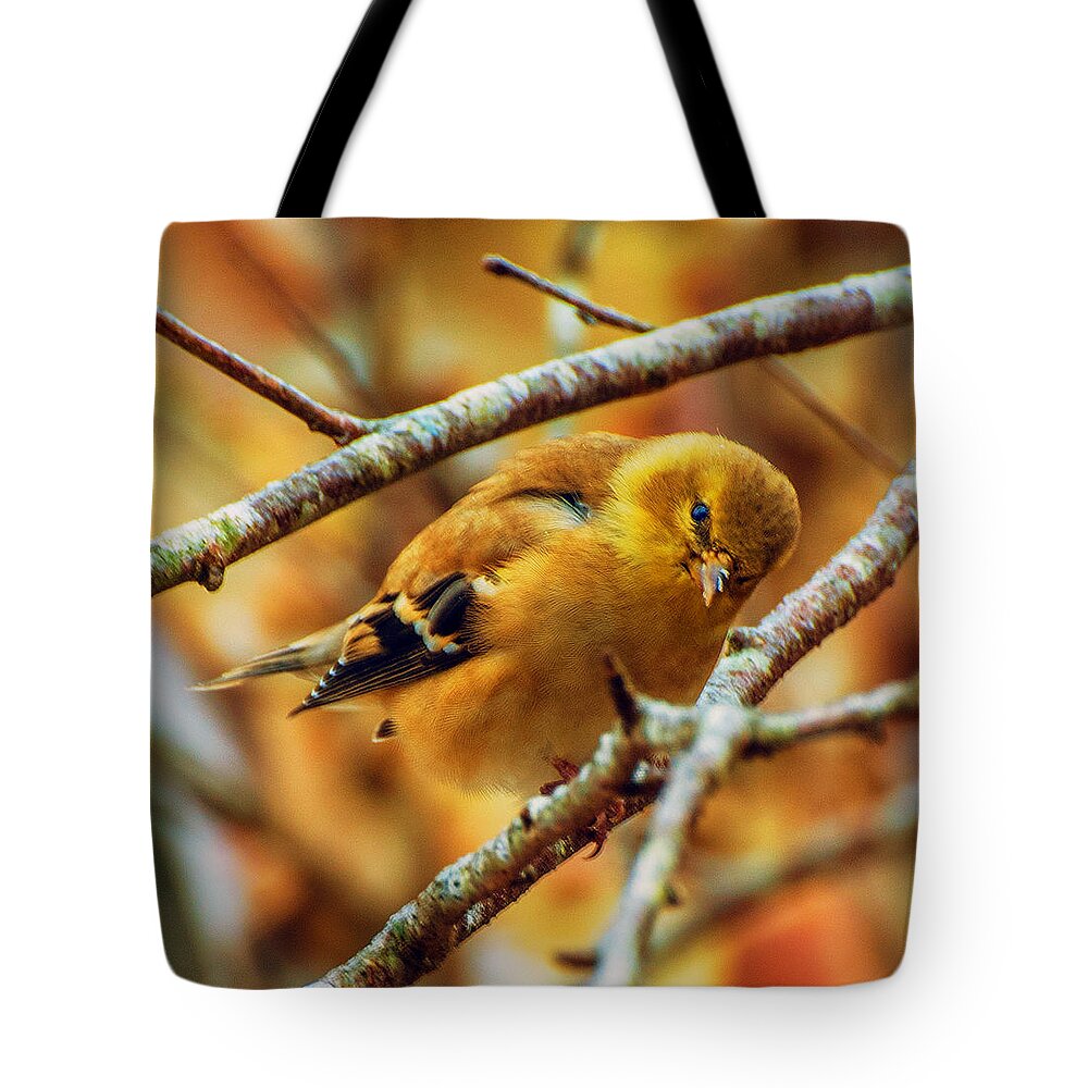 The Inquisitive Goldfinch Prints Tote Bag featuring the photograph The Inquisitive Goldfinch by John Harding