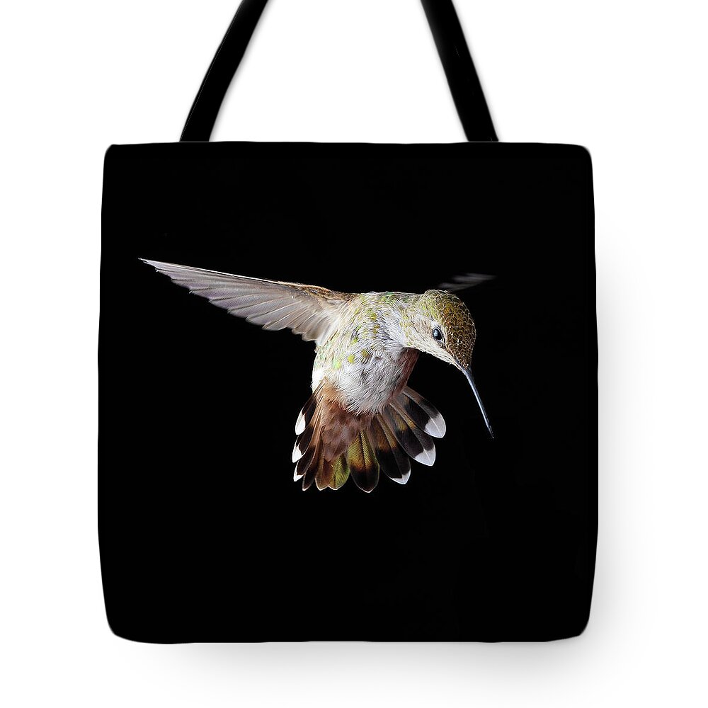 Animal Tote Bag featuring the photograph The Instigator by Briand Sanderson