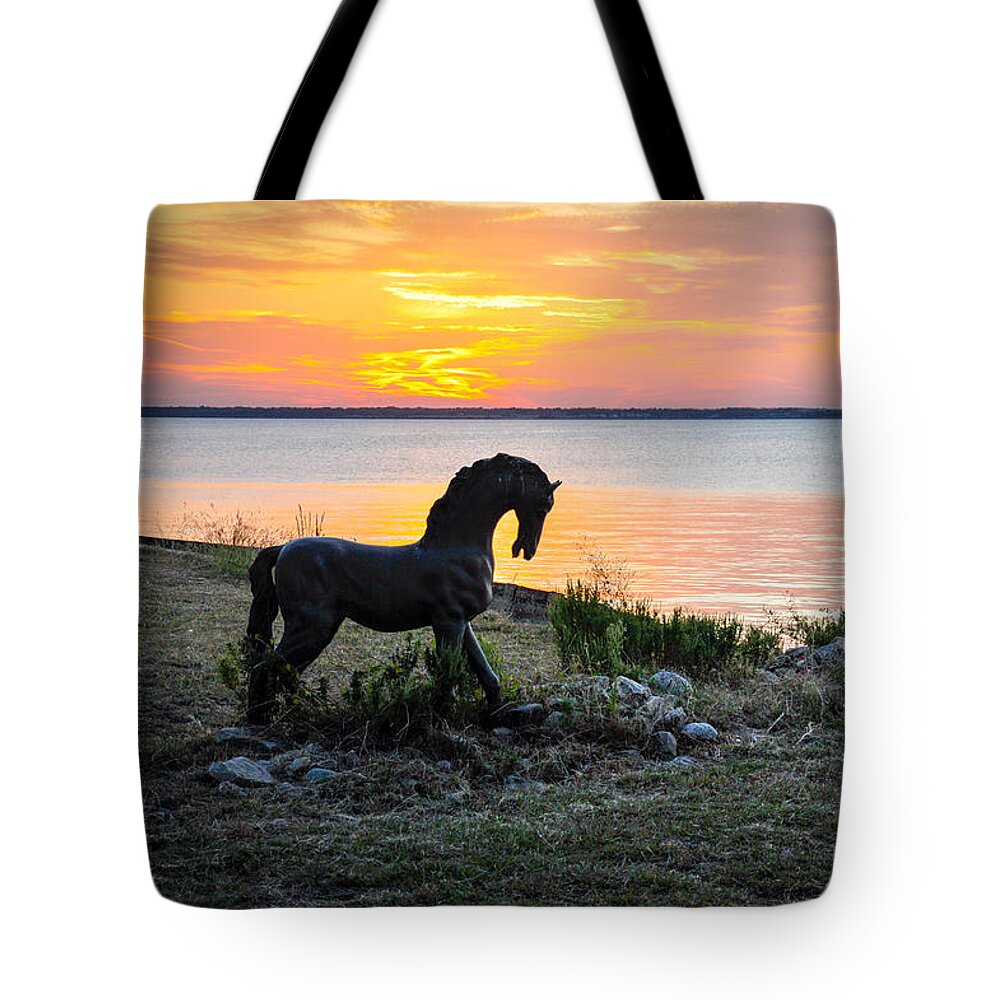 Iron Tote Bag featuring the photograph The Iron Horse by Cheryl McClure